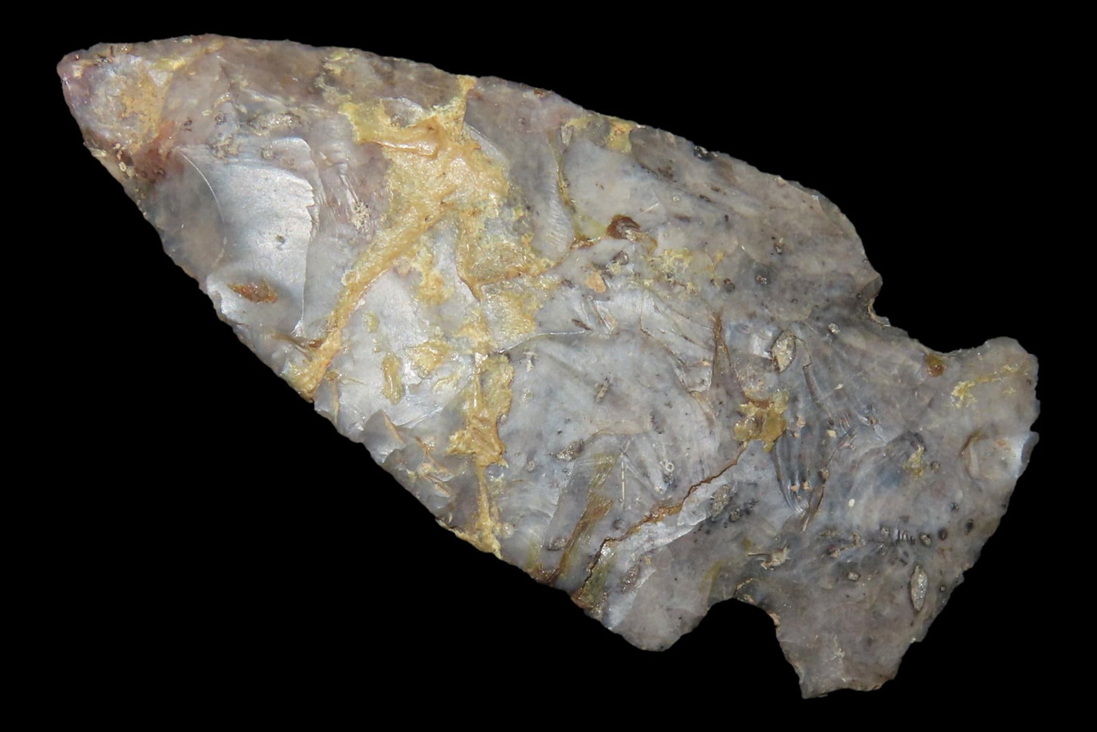 2 3/8" Ohio Jacks Reef / Intrusive Mound found in Mercer County Ohio. Great Color, Very thin! (1 of 8)