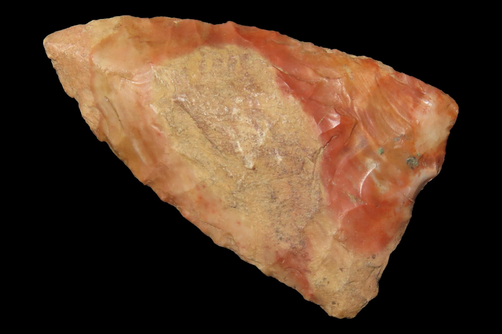 Super Colorful Florida late Paleo Jeff / Union Side Notch found in Pasco County, FL. Ex Brian Boles (1 of 6)