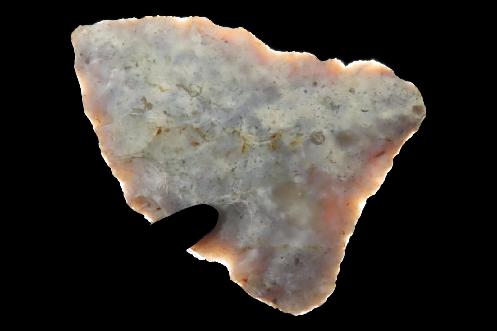 Colorful Florida Paleo Simpson / Suwanee Clovis Knife found in Pinellas County, FL. Ex Brian Boles (1 of 7)