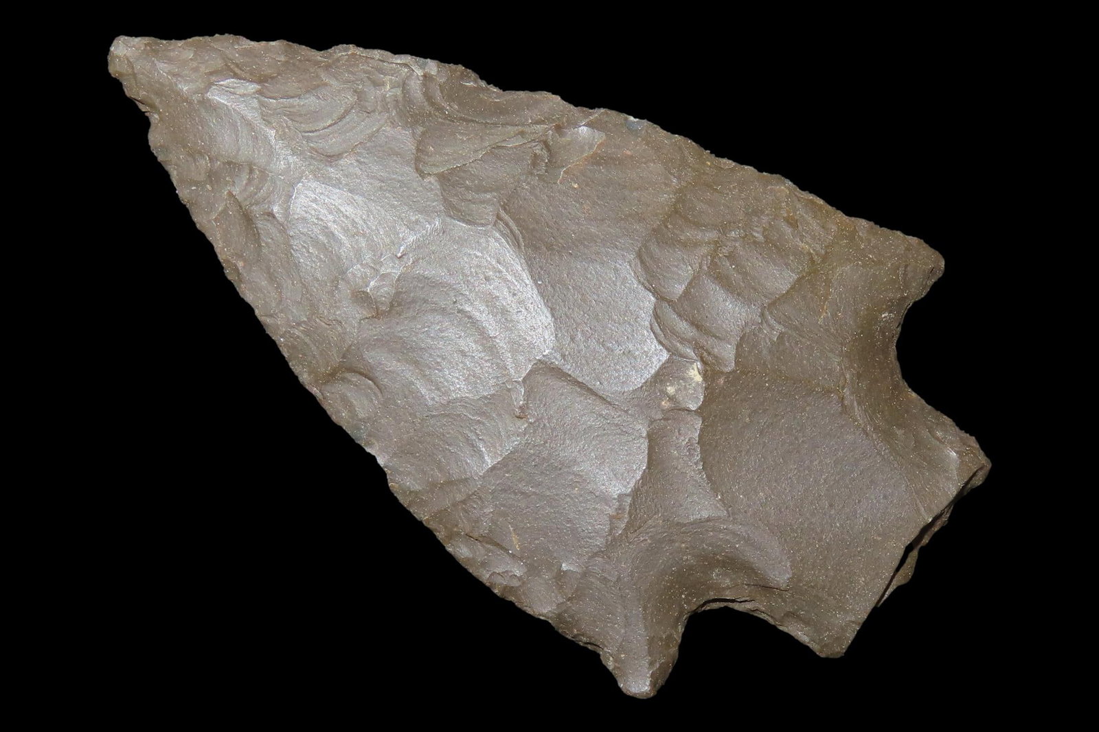 Incredible 2 1/2" Pickwick found in Humphreys County Tennessee. Nice classic example. (1 of 6)