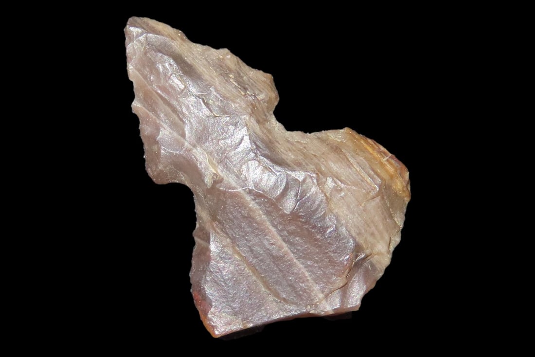 Unique Translucent Petrified / Agatized Wood Bird Point found in NE Colorado. Colorful Gem Point, (1 of 6)
