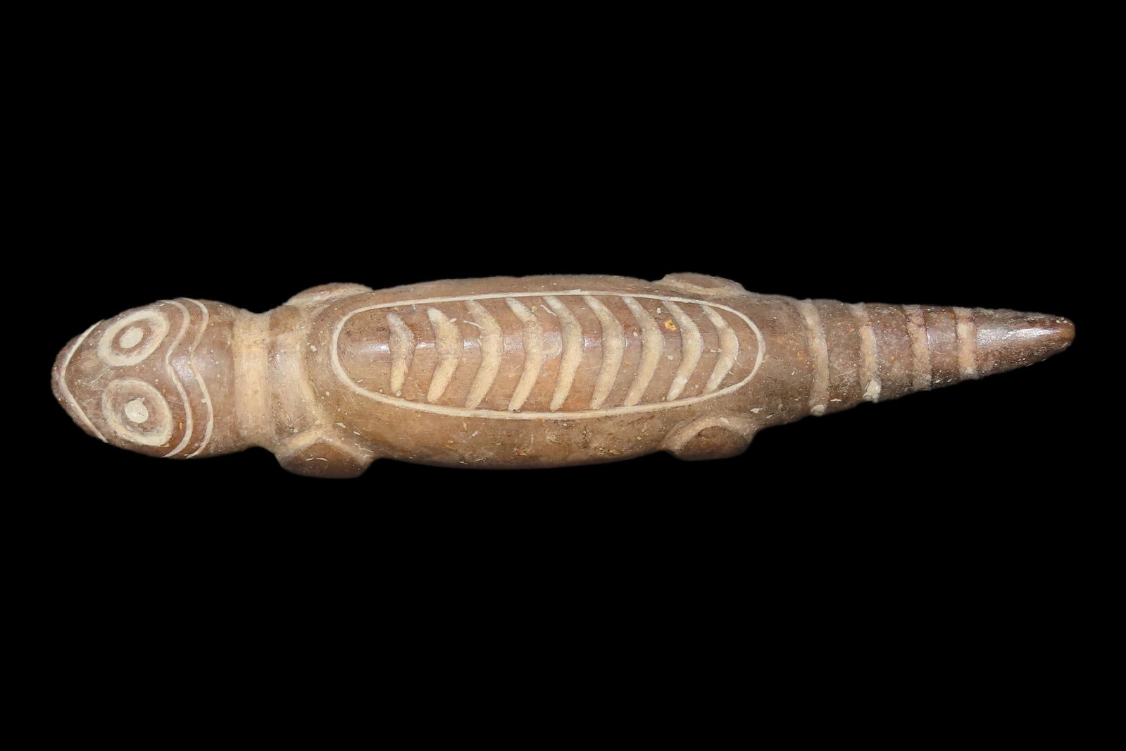 5 1/2" Pre-Columbian Taino Lizard Effigy found in Puerto Rico. Motley COA. Very Detailed Stone (1 of 8)