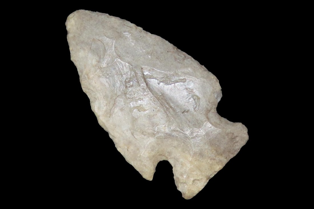 Indiana Green Jacks Reef found in Vigo County Indiana. Colorful piece of Attica Chert. (1 of 6)