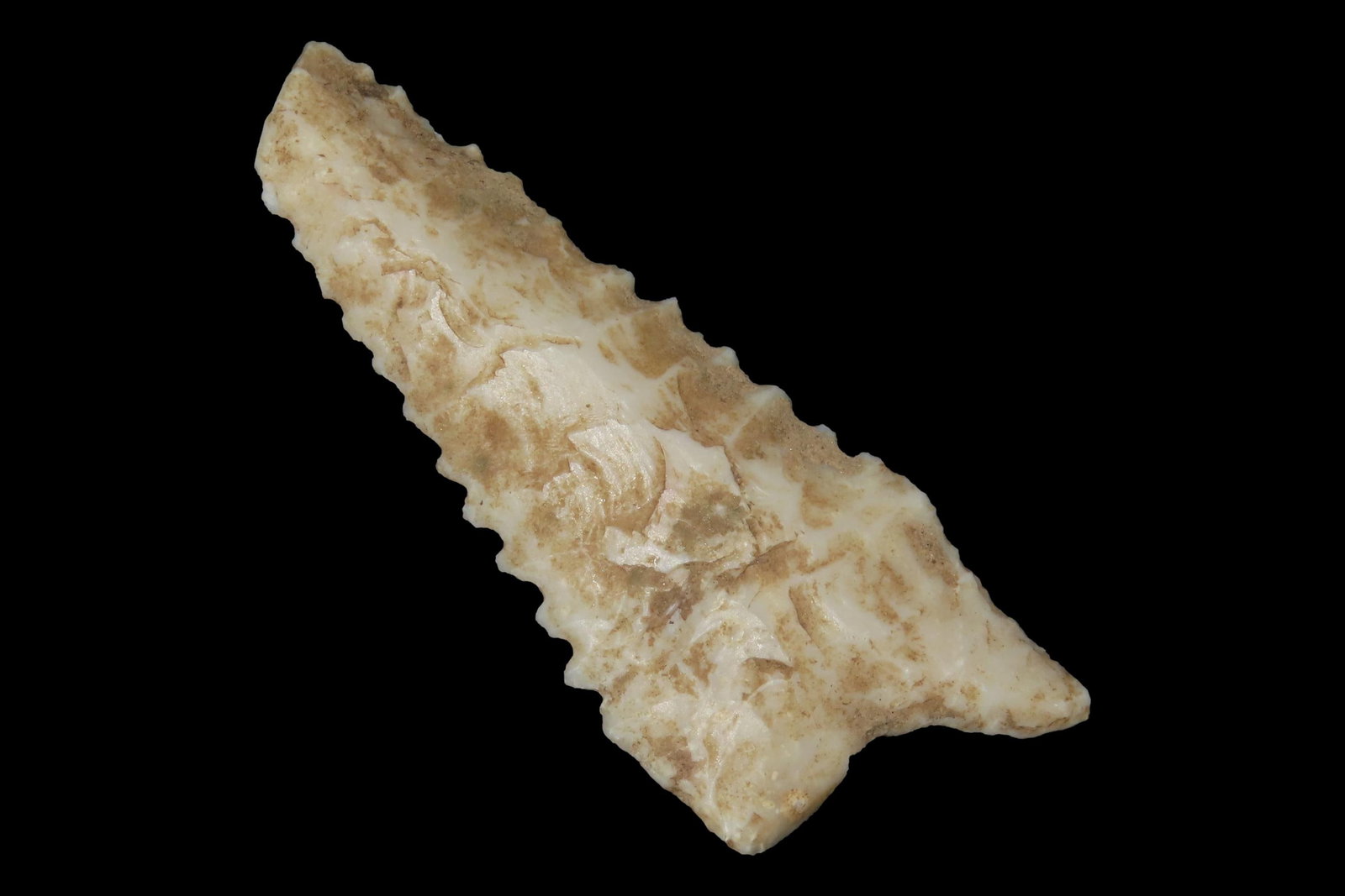 2 3/4" Heartbreaker Serrated Dalton found in Northern Arkansas. Ex Joey Ellis Collection. (1 of 6)