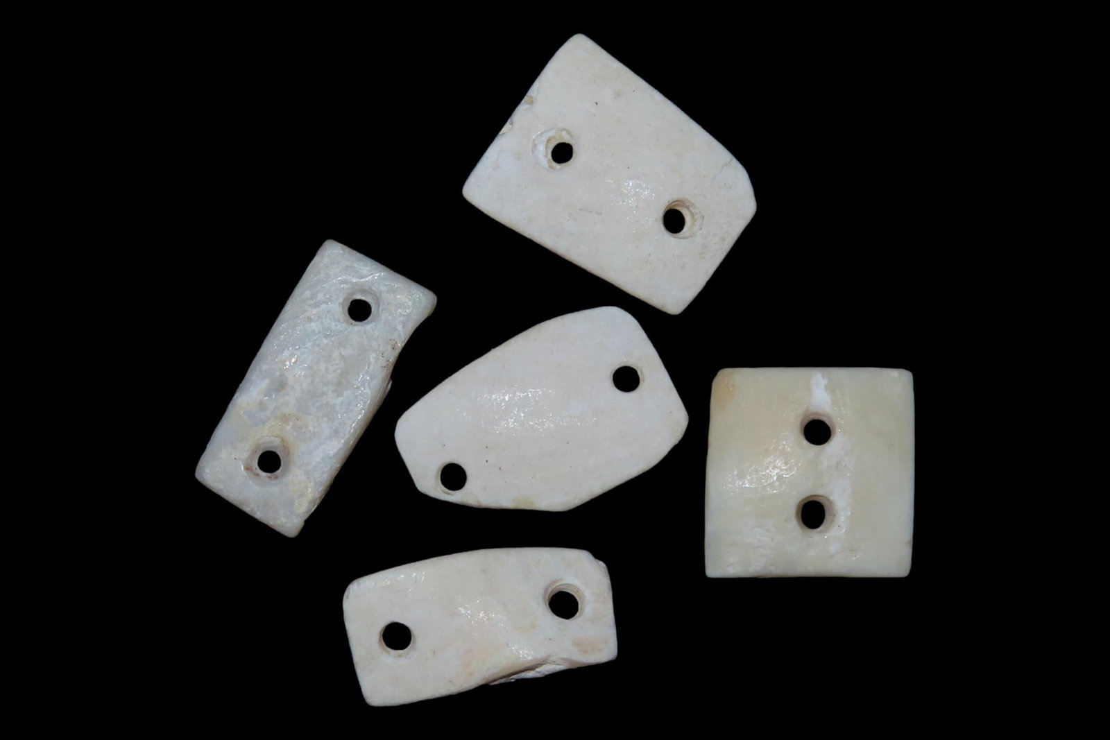 Lot of 5 Pre-Columbian Drilled Shell Gorgets / Pendants / Beads found in Mexico. (1 of 3)