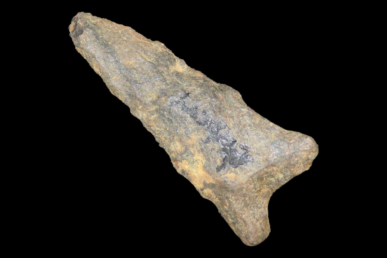 1 7/8" Late Paleo Dalton found in Erie County Pennsylvania. Indian Arrowhead, Artifact. (1 of 6)