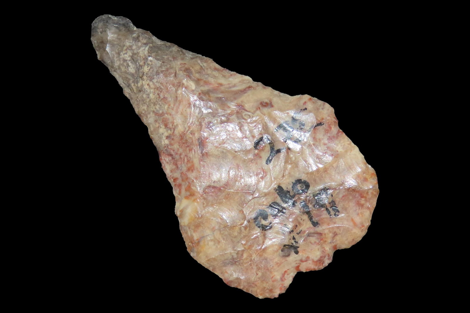 Pentagonal Mule Ear Knife found in Colorado, Petrified Wood or Agate Matieral. Great Patina. (1 of 7)