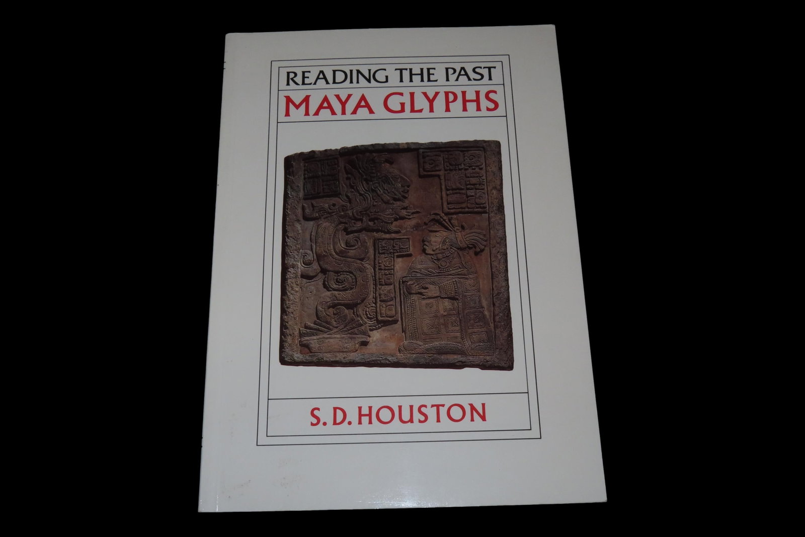 READING THE PAST, MAYA GLYPHS, 64 PAGES TEACHING THE DEFINITIONS OF THE MAYAN ALPHABET, LETTERS,: READING THE PAST, MAYA GLYPHS, 64 PAGES TEACHING THE DEFINITIONS OF THE MAYAN ALPHABET, LETTERS, IMAGES, PICTURES, ETC