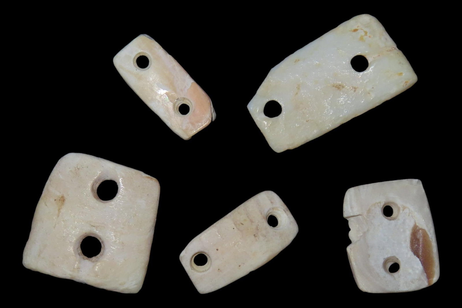 Lot of 5 Pre-Columbian Drilled Shell Gorgets / Pendants / Beads found in Mexico. (1 of 2)