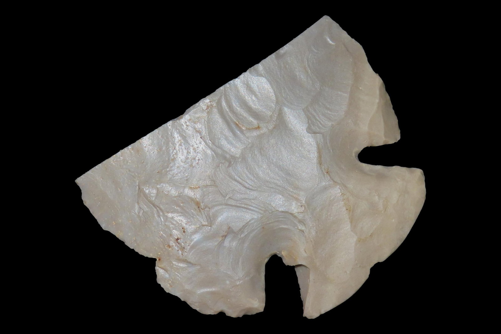 Heartbreaker Lost lake / Notched Base Dovetail found in Meade Co., Kentucky. Nice large example. (1 of 6)