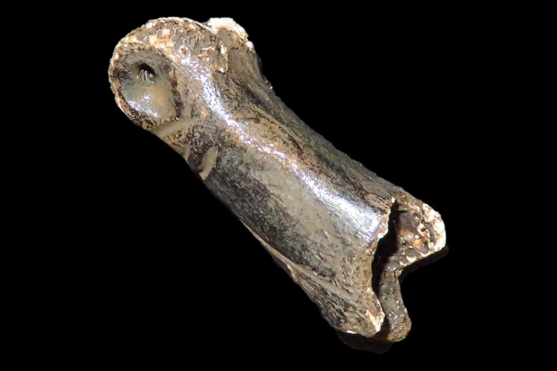 Engraved Pre-Columbian Llama Bone Effigy Pendany, Mexico. (1 of 4)