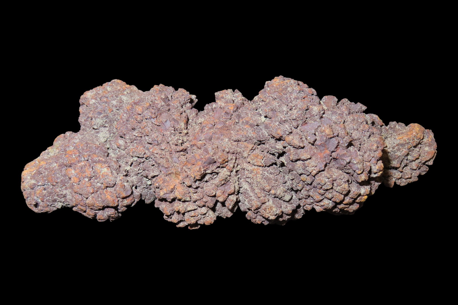 Large Dinosaur Poop Fossil, Coprolite, Appr. 100 Million Years old Fossilized Dino Dung, Great Well (1 of 4)