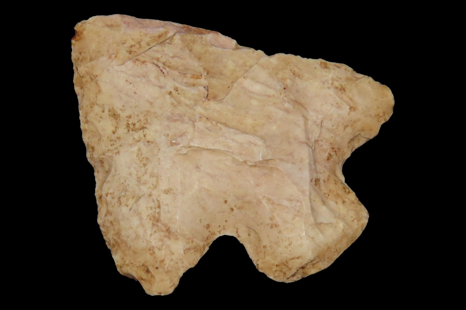Rare Cotaco Creek Edgefield Scraper found in Georgia. Hafted Scraper, Knife. Indian Arrowhead, (1 of 6)