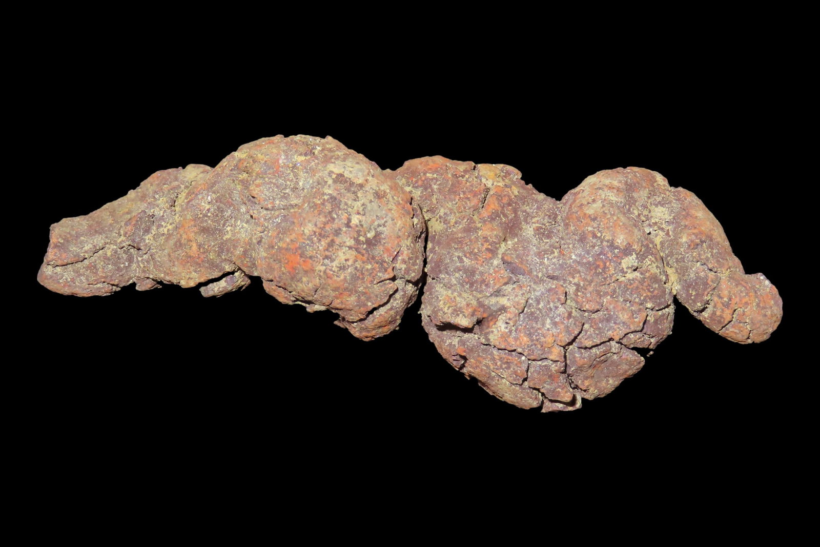 Large Dinosaur Poop Fossil, Coprolite, Appr. 100 Million Years old Fossilized Dino Dung, Great Well (1 of 3)