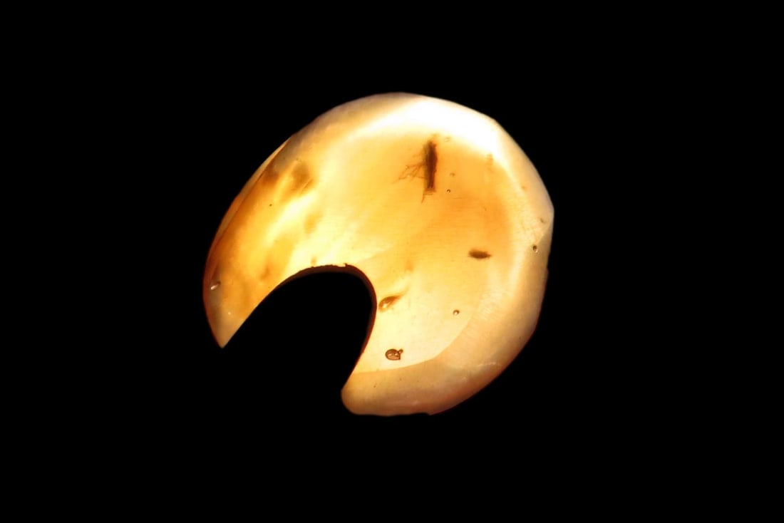 Fossil Amber with Encased Insect, Great Specimen with Easily Visible Bug. 100 Million Years Old,: Fossil Amber with Encased Insect, Great Specimen with Easily Visible Bug. 100 Million Years Old, from the Hukawng Valley, Burma-Myanmar. Burnite. Burmese Amber.