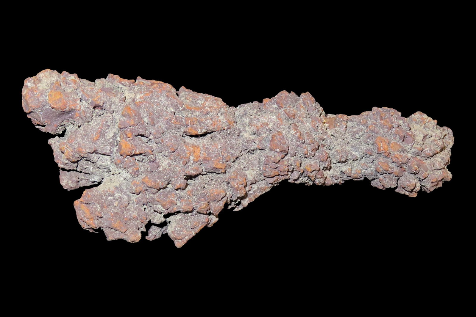 Large Dinosaur Poop Fossil, Coprolite, Appr. 100 Million Years old Fossilized Dino Dung, Great Well (1 of 4)
