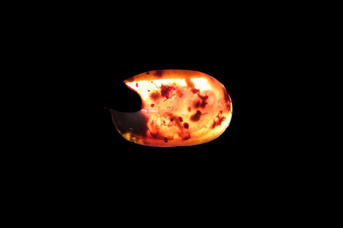 Fossil Amber with Multiple Encased Insects, Great Specimen with Easily Visible Bugs. 100 Million: Fossil Amber with Multiple Encased Insects, Great Specimen with Easily Visible Bugs. 100 Million Years Old, from the Hukawng Valley, Burma-Myanmar. Burnite. Burmese Amber.