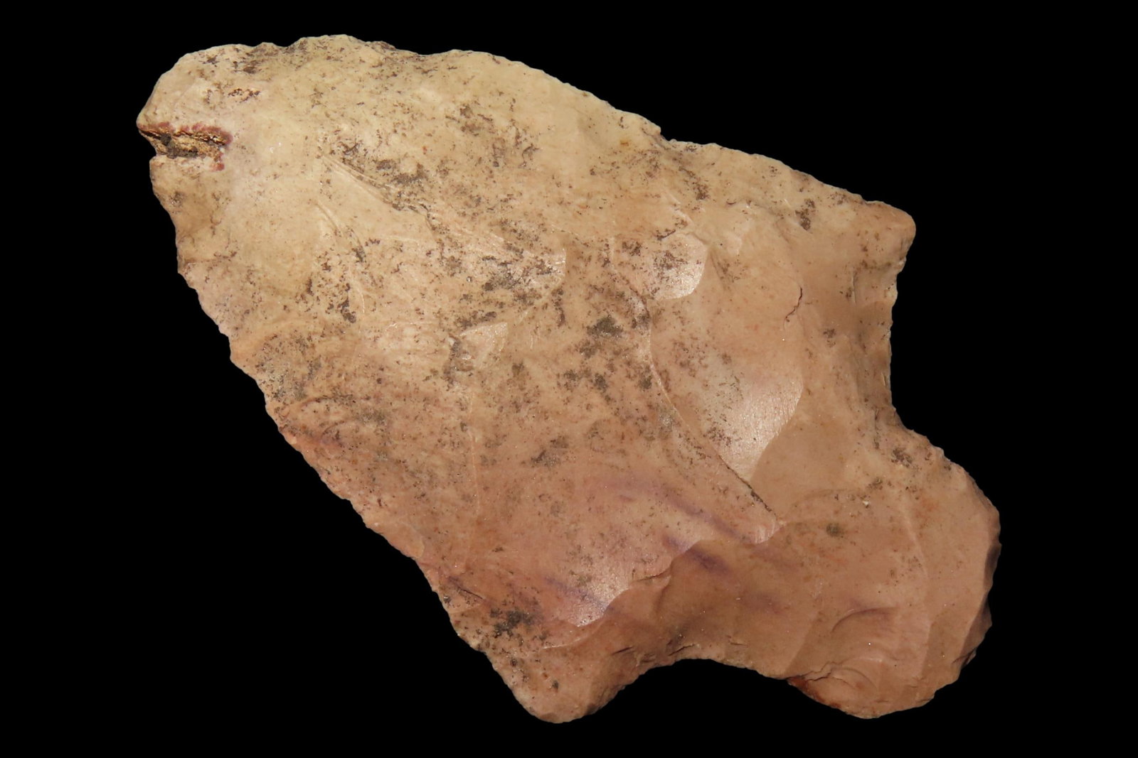 2 1/2" Marion found in Hernando County Florida. Indian Arrowhead, Artifact. (1 of 6)
