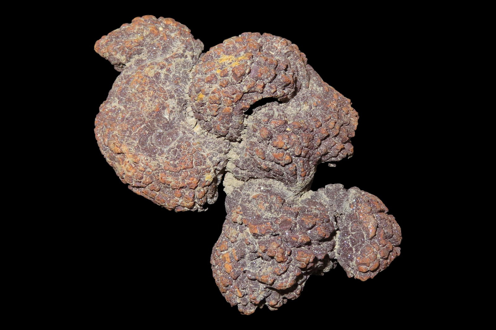 Large Dinosaur Poop Fossil, Coprolite, Appr. 100 Million Years old Fossilized Dino Dung, Great Well (1 of 4)