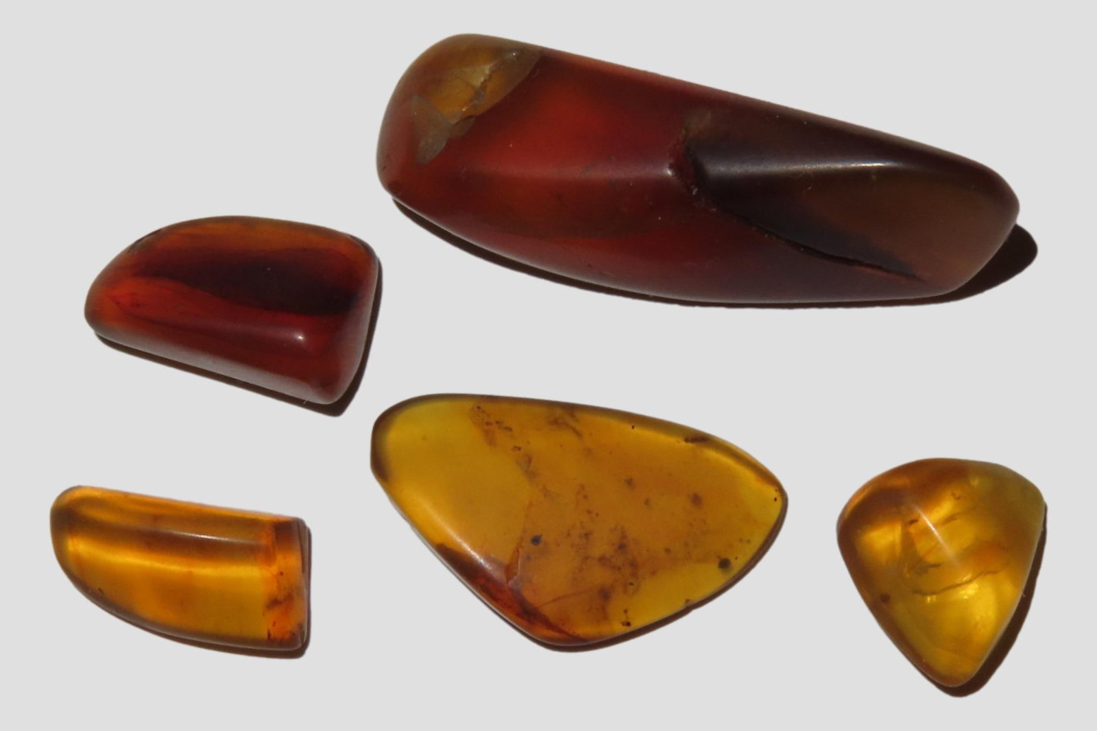 Lot of Fossil Amber, some with small bugs or partial bugs that were partially eaten by another (1 of 2)
