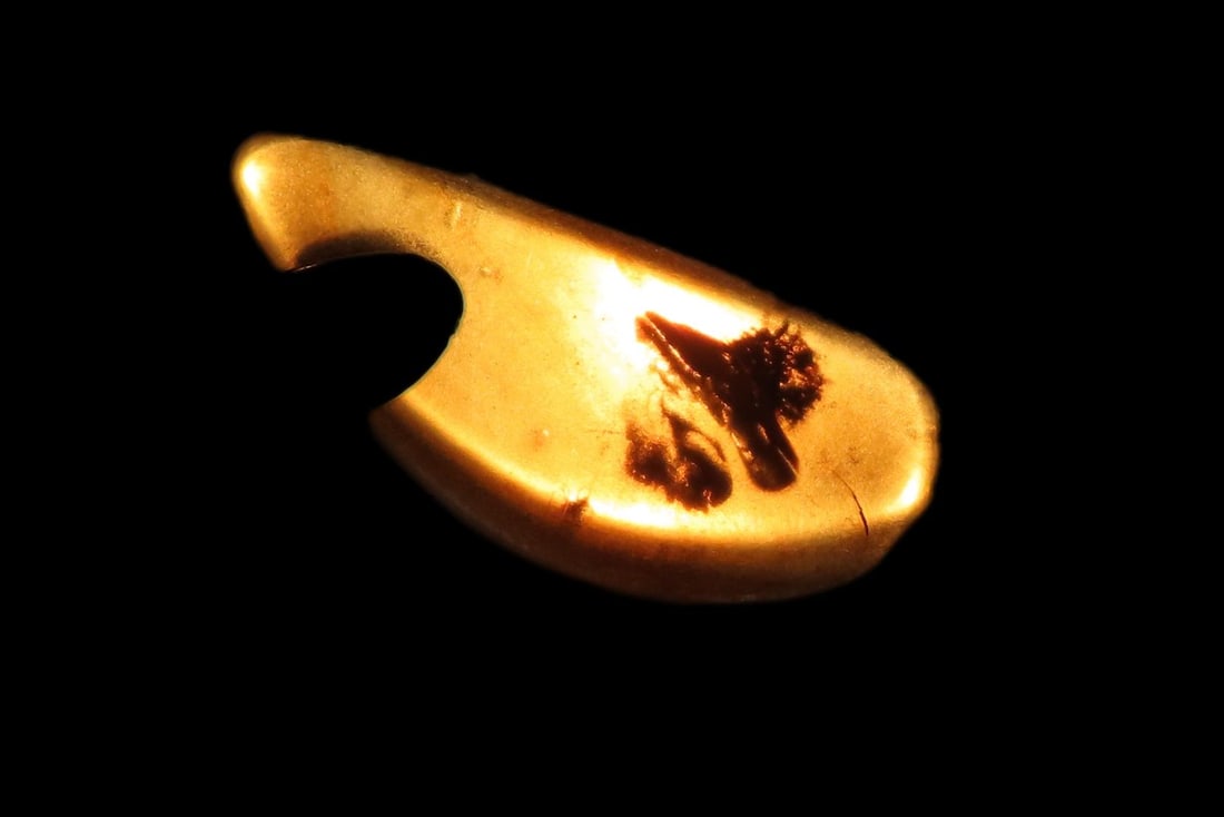 Fossil Amber with Encased Insect, Great Specimen with Easily Visible Bug. 100 Million Years Old,: Fossil Amber with Encased Insect, Great Specimen with Easily Visible Bug. 100 Million Years Old, from the Hukawng Valley, Burma-Myanmar. Burnite. Burmese Amber.