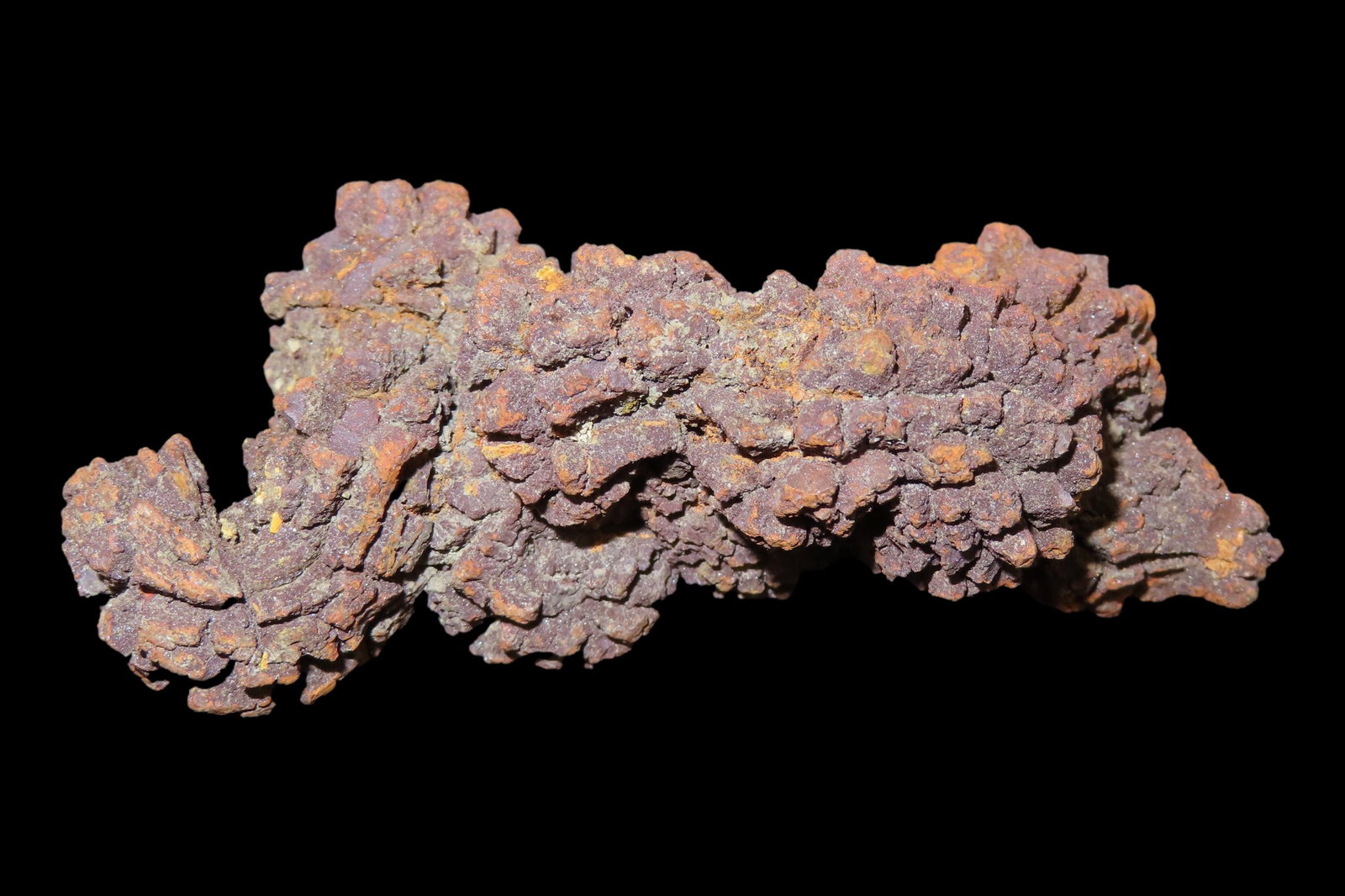 Large Dinosaur Poop Fossil, Coprolite, Appr. 100 Million Years old Fossilized Dino Dung, Great Well (1 of 5)