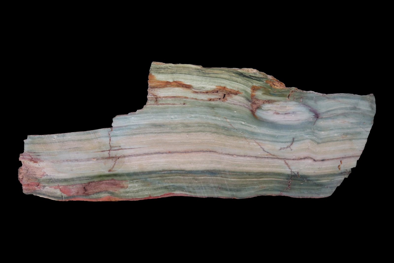 Rare Green & Blue Petrified Wood Slab, 8 3/4" long, Oregon Bogwood, Vibrant Greens & Blues mixed: Rare Green & Blue Petrified Wood Slab, 8 3/4" long, Oregon Bogwood, Vibrant Greens & Blues mixed with Tan & Brown with hints of Red & White. Much Harder to Find Color Pattern