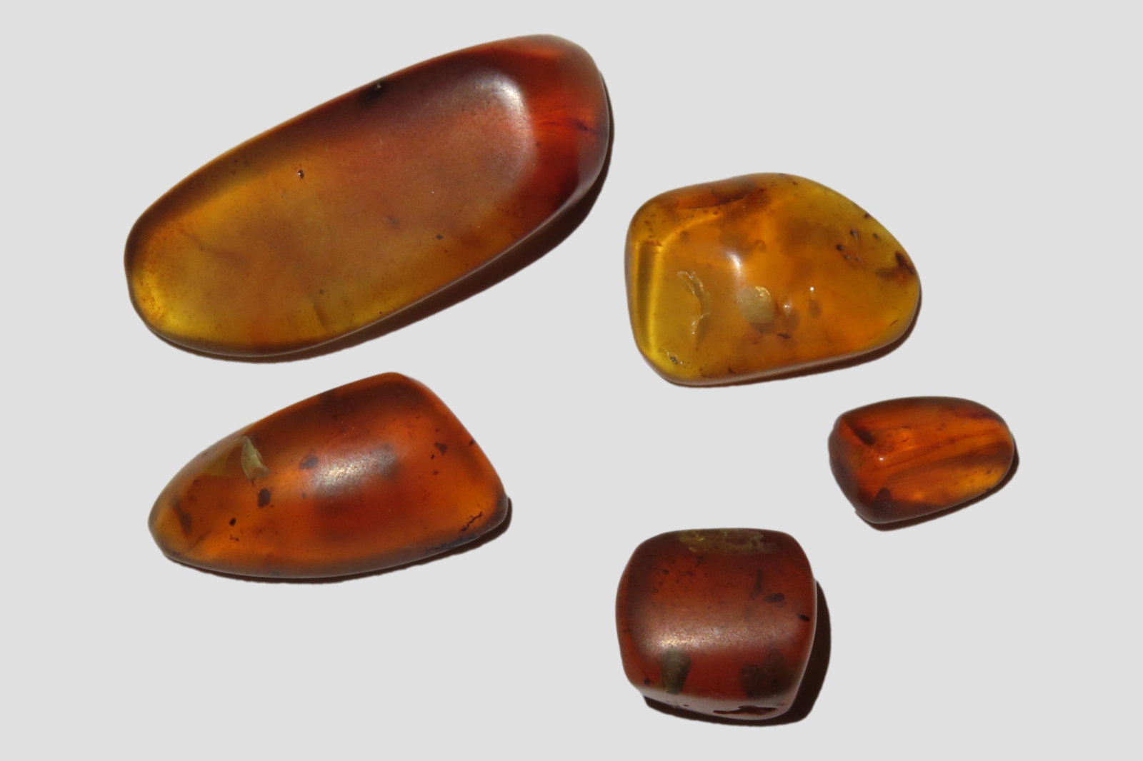 Lot of Fossil Amber, some with small bugs or partial bugs that were partially eaten by another (1 of 3)
