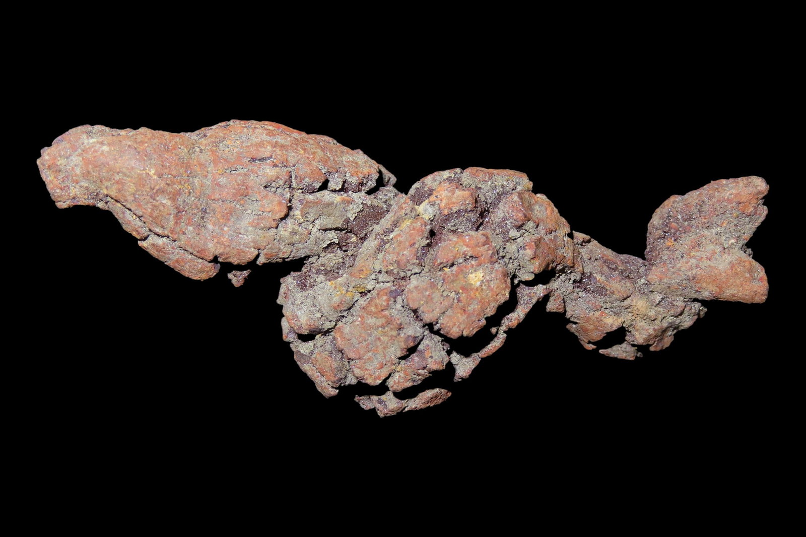Large Dinosaur Poop Fossil, Coprolite, Appr. 100 Million Years old Fossilized Dino Dung, Great Well (1 of 3)