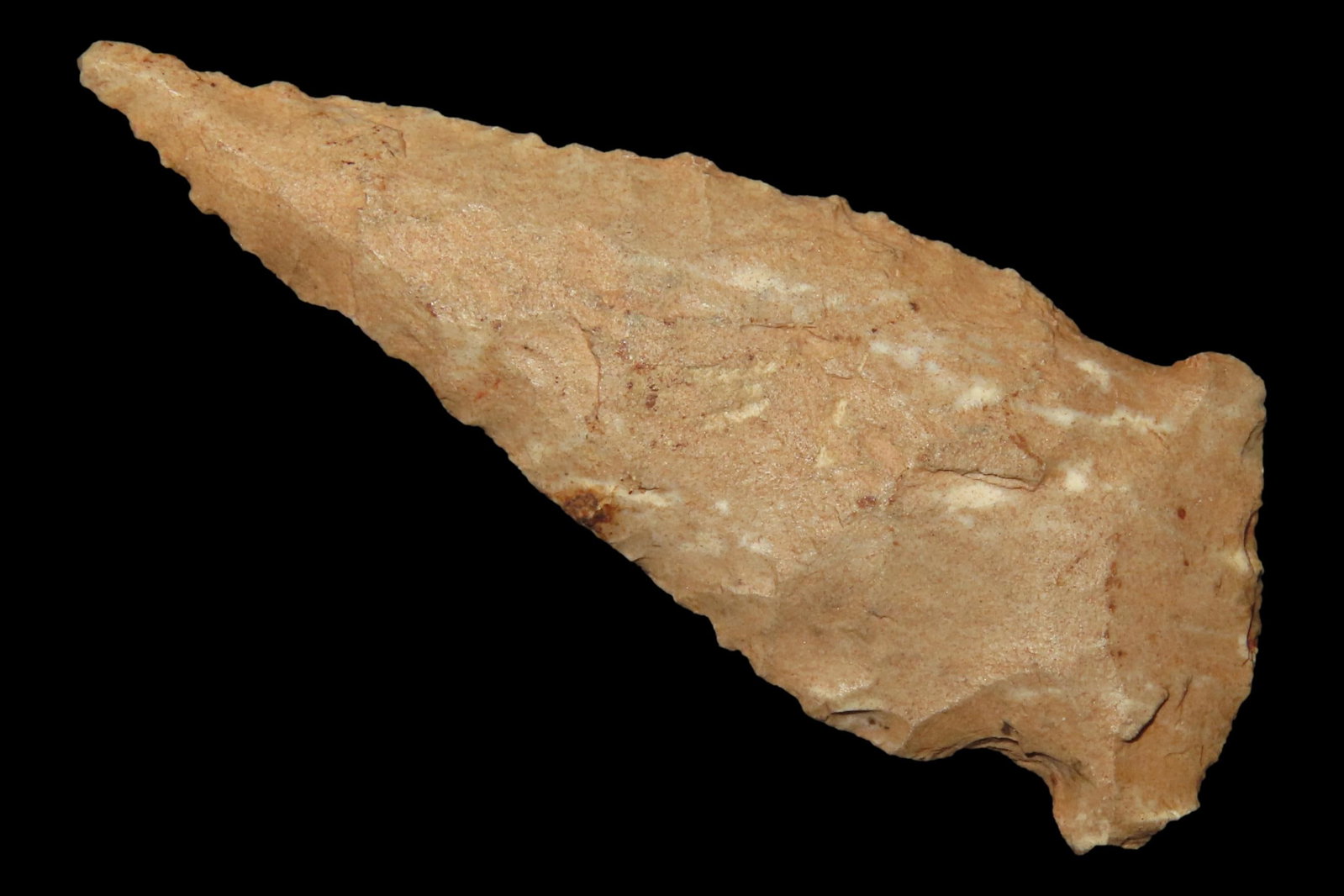 2 7/16" Serratede Boggy Branch found in Northern Alabama. Indian Arrowhead, Artifact. (1 of 6)