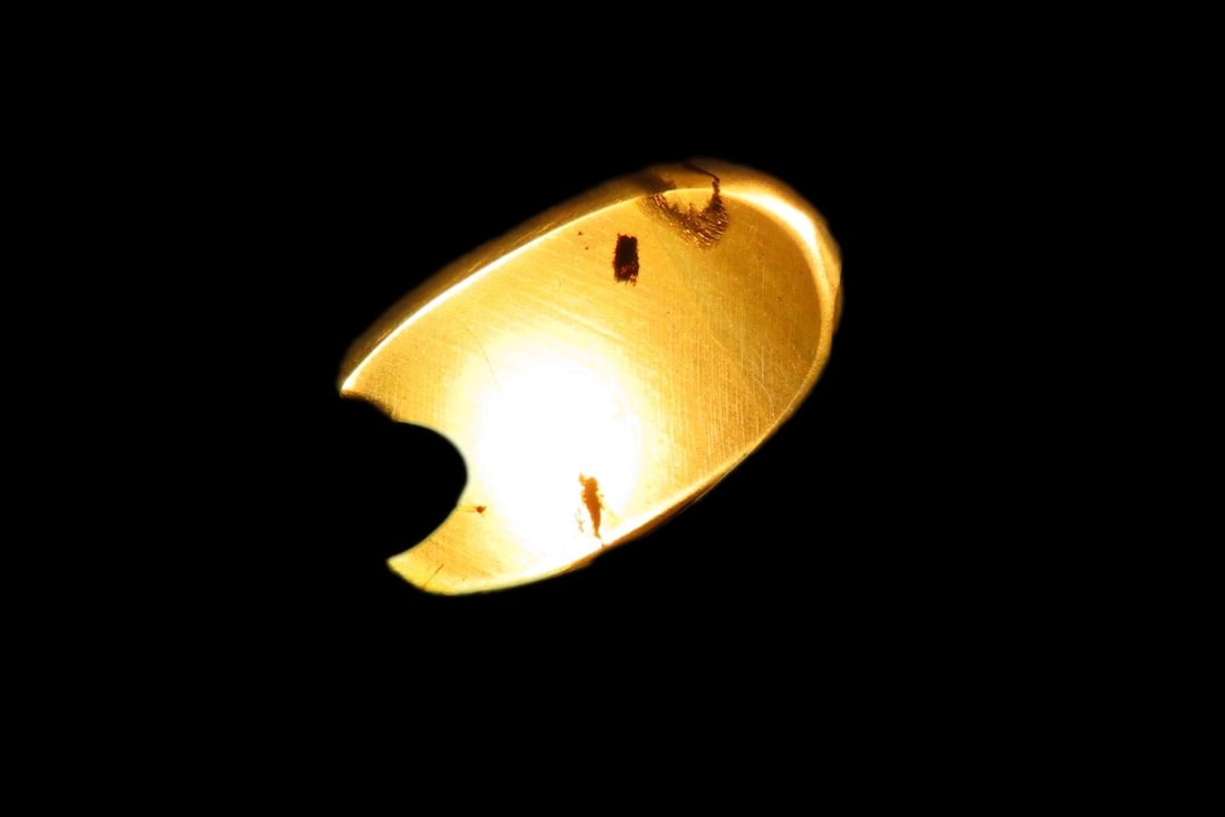 Fossil Amber with Encased Insect, Great Specimen with Easily Visible Bug. 100 Million Years Old,: Fossil Amber with Encased Insect, Great Specimen with Easily Visible Bug. 100 Million Years Old, from the Hukawng Valley, Burma-Myanmar. Burnite. Burmese Amber.
