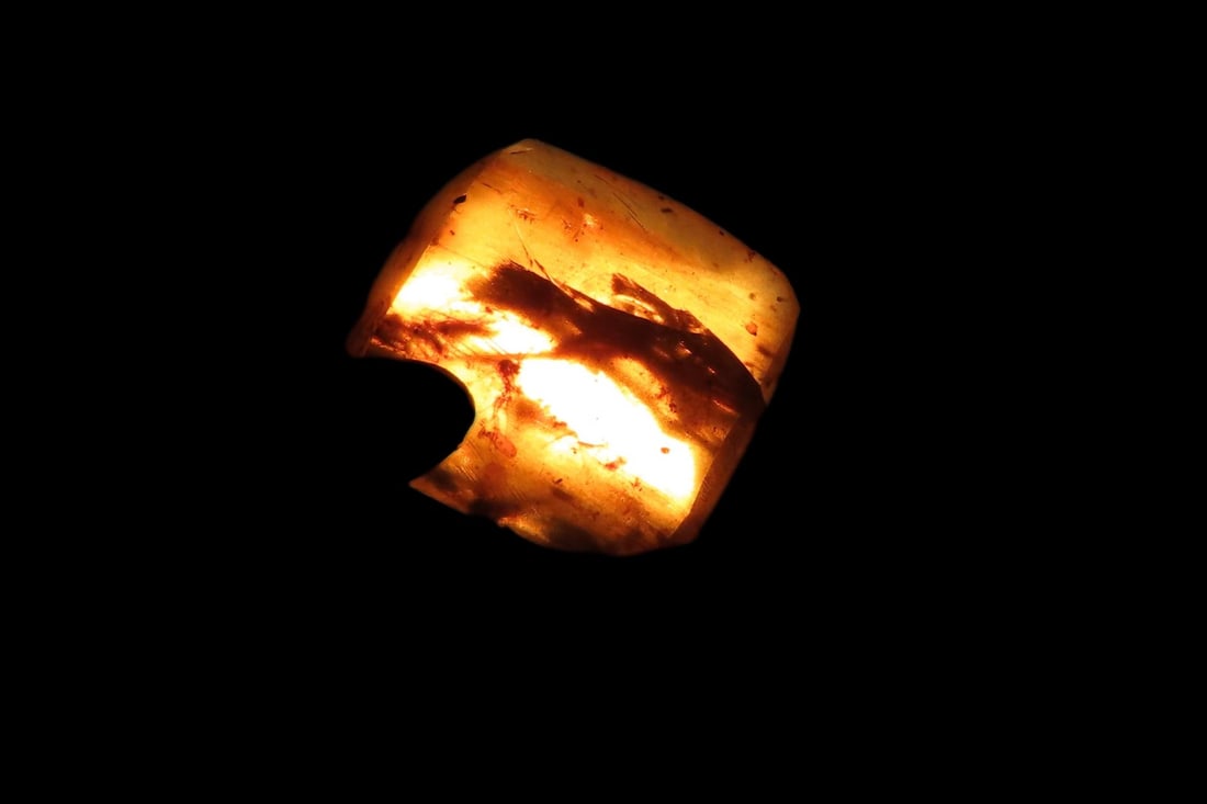 Fossil Amber with Multiple Encased Insects, Great Specimen with Easily Visible Bugs. 100 Million: Fossil Amber with Multiple Encased Insects, Great Specimen with Easily Visible Bugs. 100 Million Years Old, from the Hukawng Valley, Burma-Myanmar. Burnite. Burmese Amber.