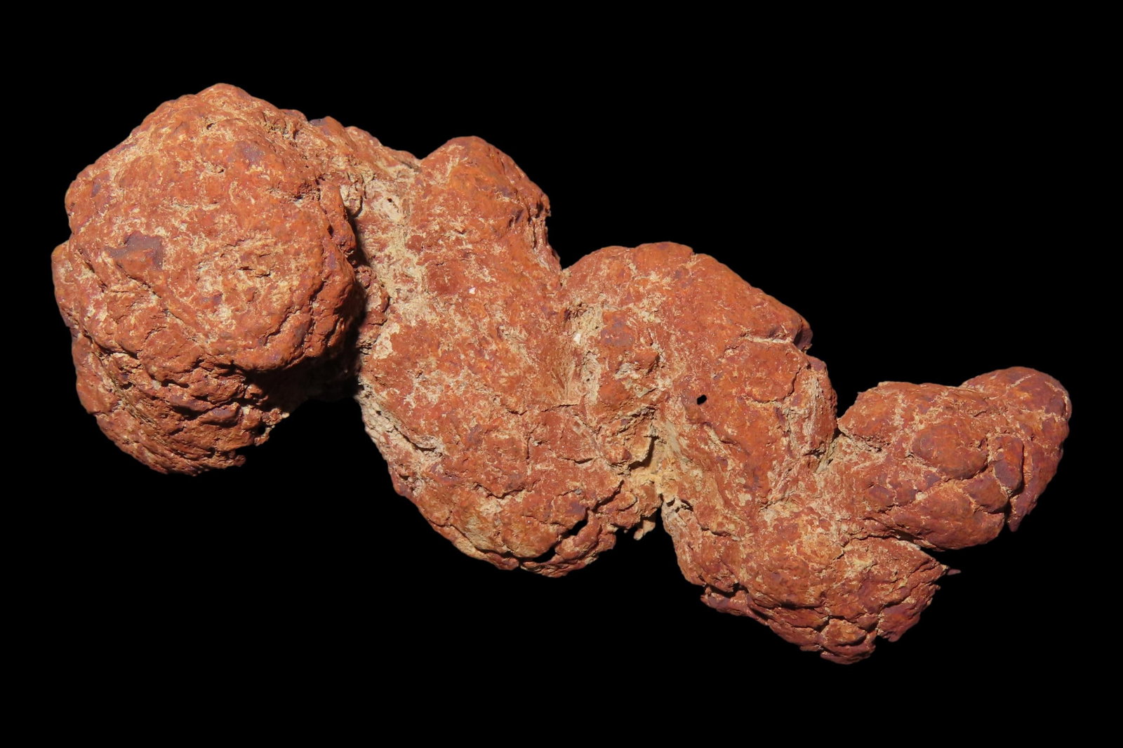 Large Dinosaur Poop Fossil, Coprolite, Appr. 100 Million Years old Fossilized Dino Dung, Great Well (1 of 4)