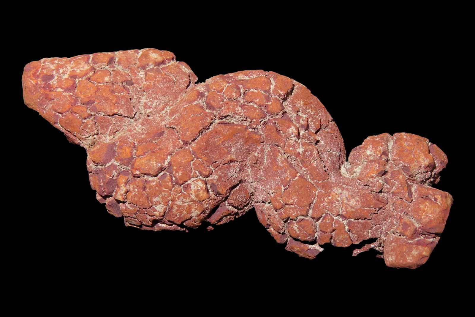 Large Dinosaur Poop Fossil, Coprolite, Appr. 100 Million Years old Fossilized Dino Dung, Great Well (1 of 5)