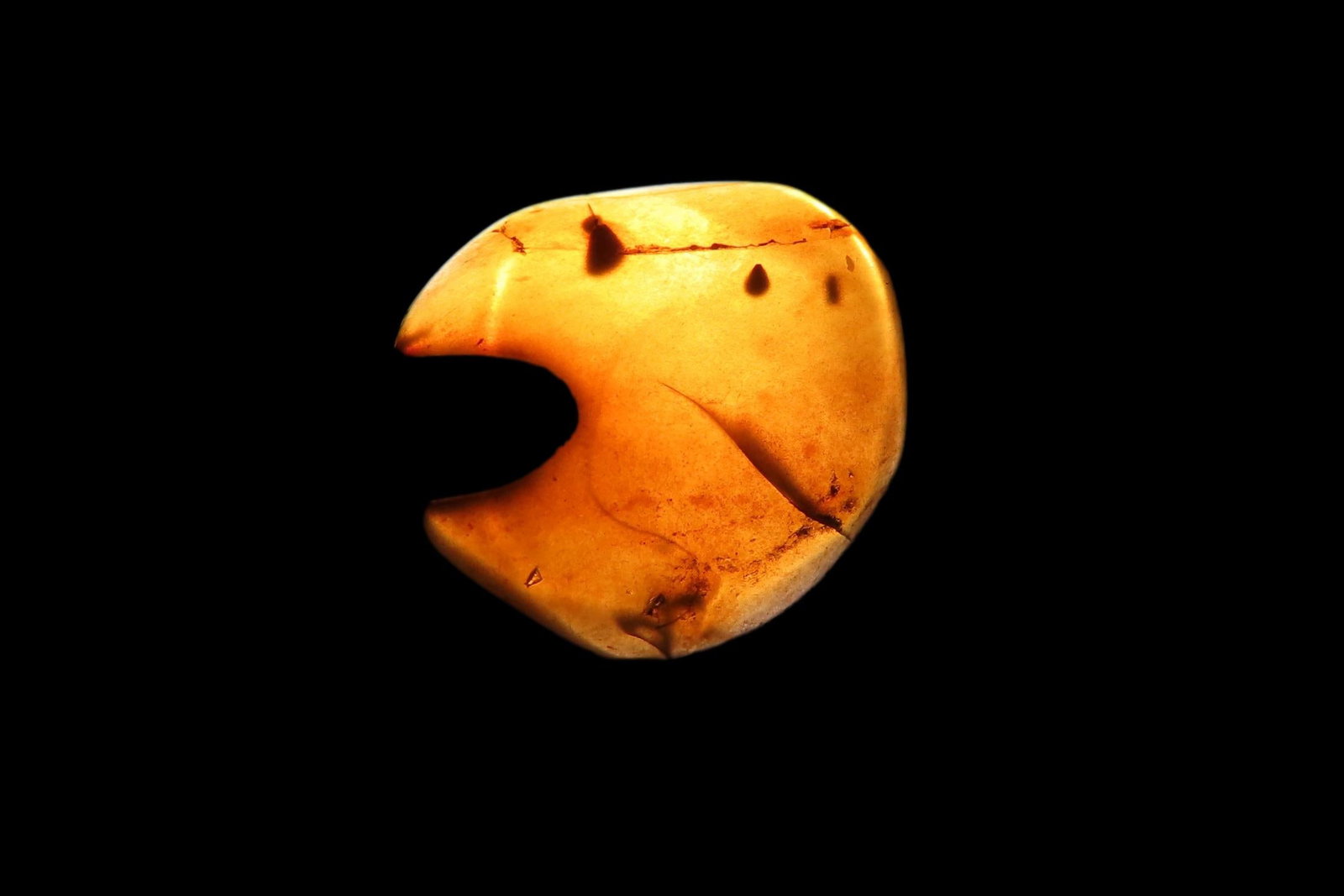 Fossil Amber with Encased Insect, Great Specimen with Easily Visible Bug. 100 Million Years Old,: Fossil Amber with Encased Insect, Great Specimen with Easily Visible Bug. 100 Million Years Old, from the Hukawng Valley, Burma-Myanmar. Burnite. Burmese Amber.