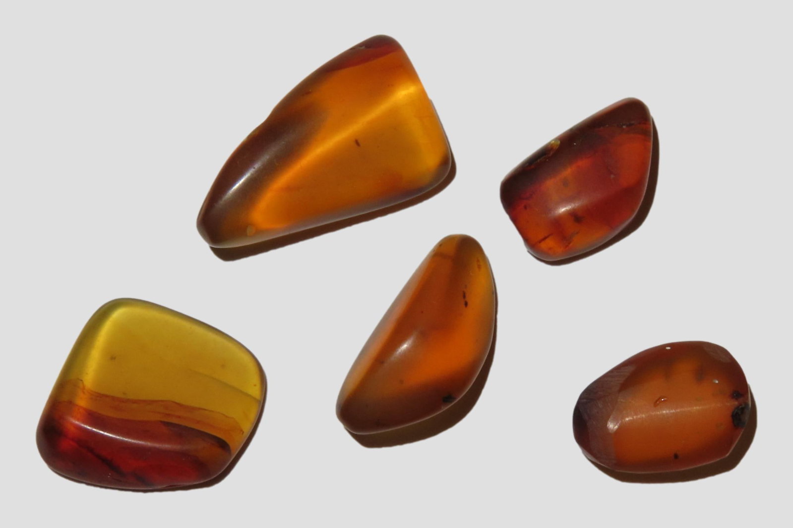 Lot of Fossil Amber, some with small bugs or partial bugs that were partially eaten by another: Lot of Fossil Amber, some with small bugs or partial bugs that were partially eaten by another insect. 100 Million Years Old, from the Hukawng Valley, Burma-Myanmar. Burnite. Burmese Amber.