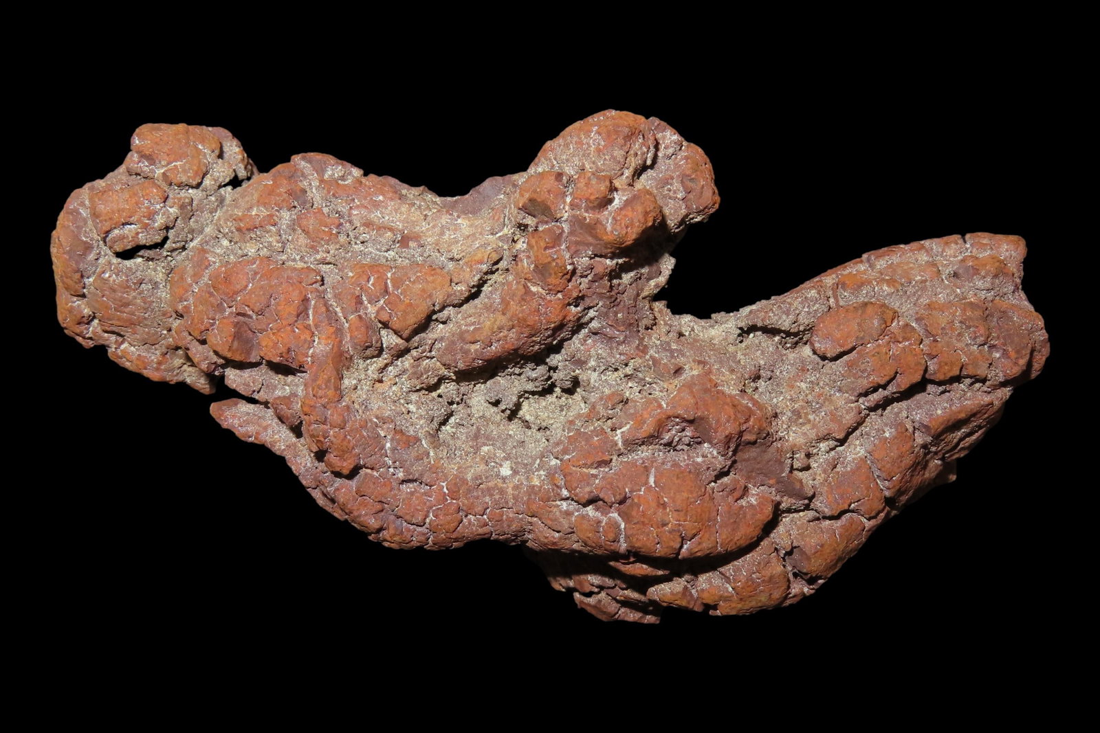 Large Dinosaur Poop Fossil, Coprolite, Appr. 100 Million Years old Fossilized Dino Dung, Great Well (1 of 4)