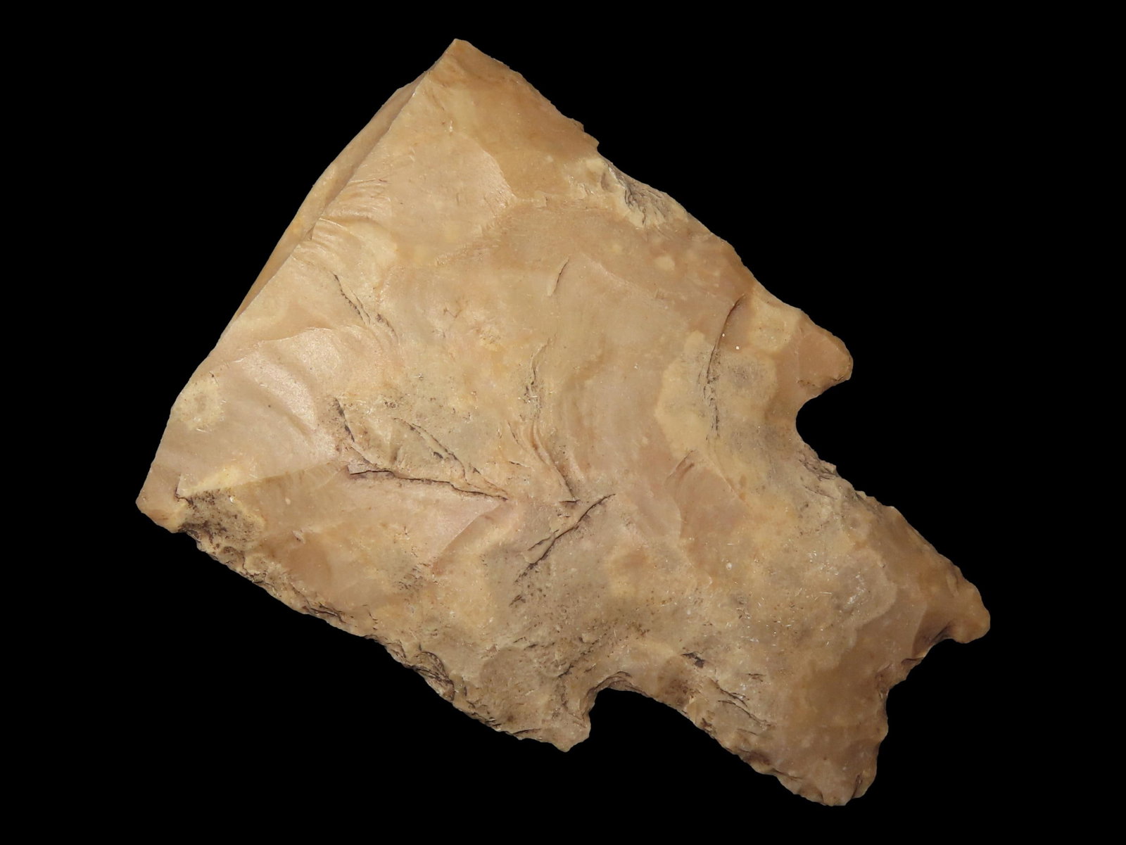 MASSIVE Pedernales Spear / Knife Heartbreaker, Uvalde County Texas. 3 3/8" by 2 3/8" Wide. Would (1 of 6)