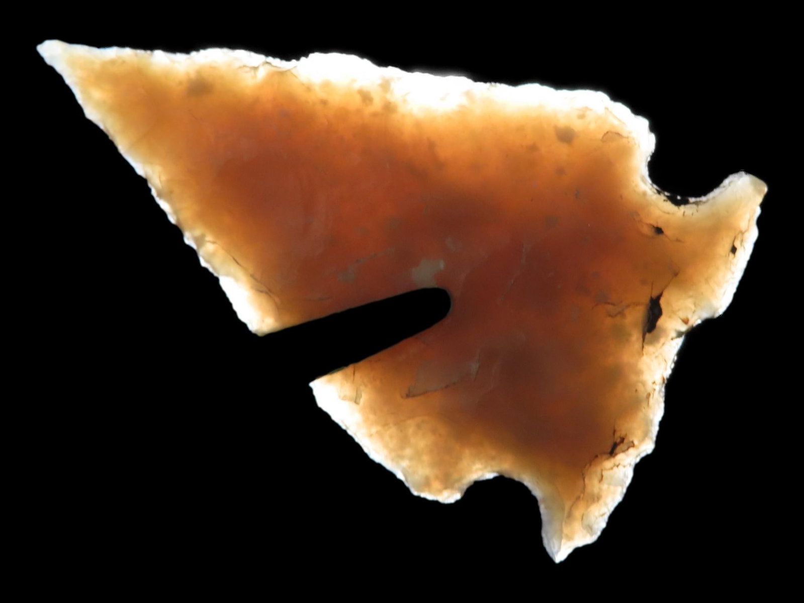 Translucent Texas Ensor with a Needle Tip found in Bandera County TX. Indian Arrowhead, Artifact. (1 of 7)