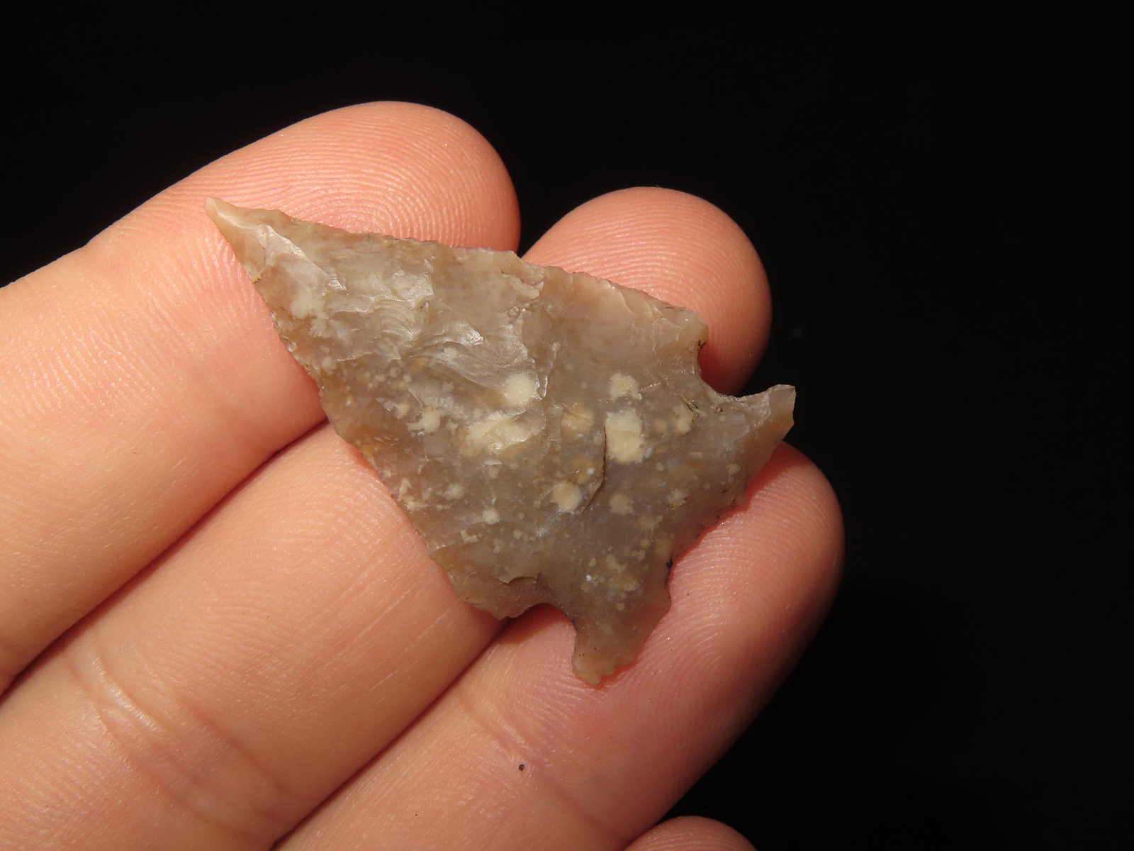 Translucent Texas Ensor, Bandera Co., Texas, Needle Tip - 2