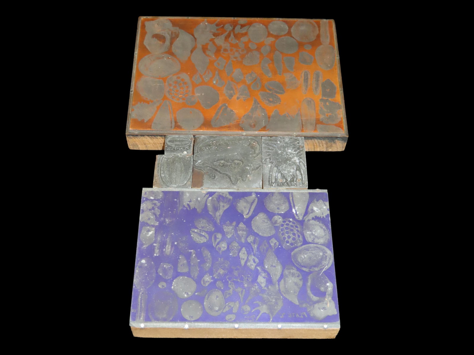 Lot of 6 Antique Printing Plates with Shells & Fossils, etc. Used in one of Rev. Heike's Books. (1 of 11)