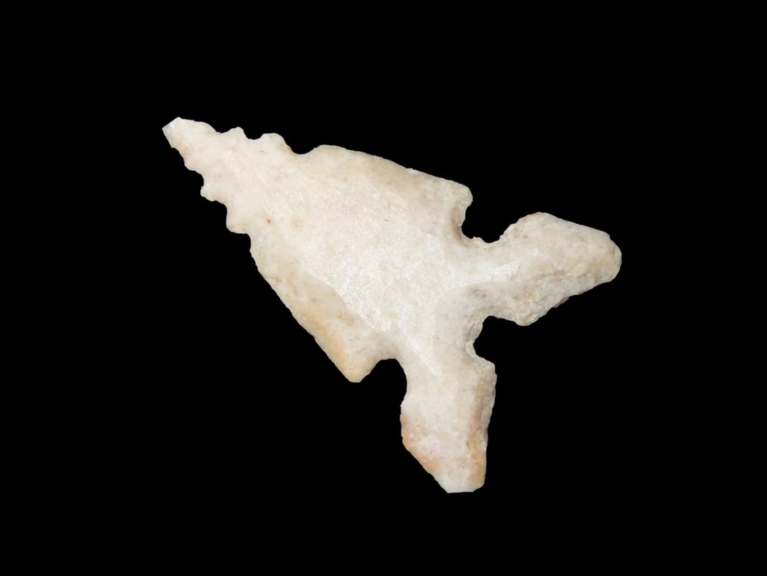 Amazing Texas Bird Point found in Central TX. Thin, well flaked, serrated, and needle tipped! (1 of 4)