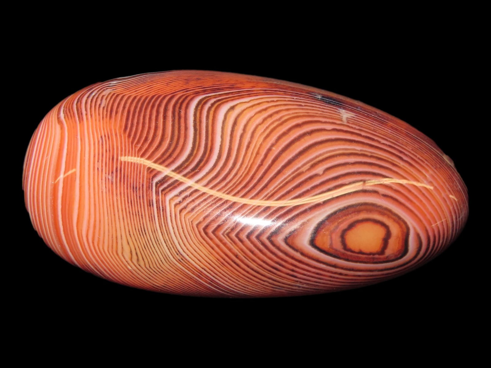 Colorful Polished Banded Lace Agate. Incredible Colors. Nice large example. Fully Polished. (1 of 5)