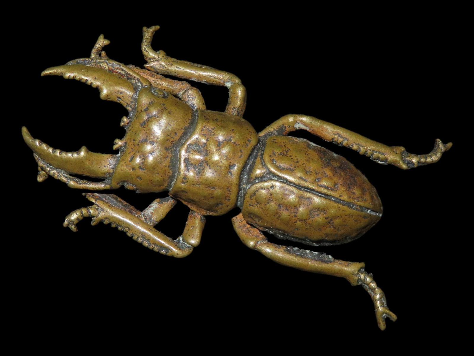 Vintage Solid Brass Emperor Beetle. Highly Detailed example showing precise realistic features both (1 of 6)