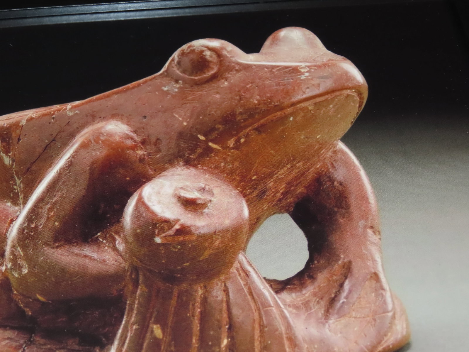 Framed 8 1/2" x 11' Picture of the Cahokia Rattler Frog Effigy Pipe. Originally found in 1887 by W. (1 of 5)