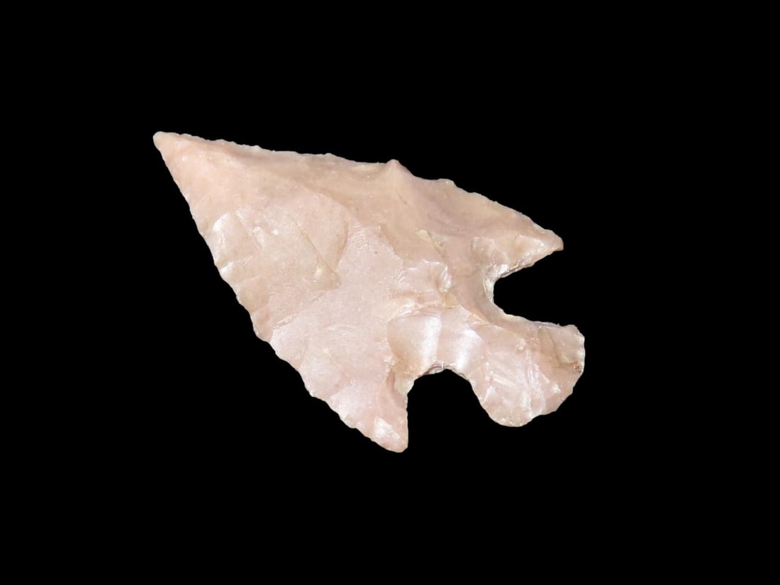 Nice Western Bird Point found in New Mexico. Indian Arrowhead, Artifact. (1 of 4)