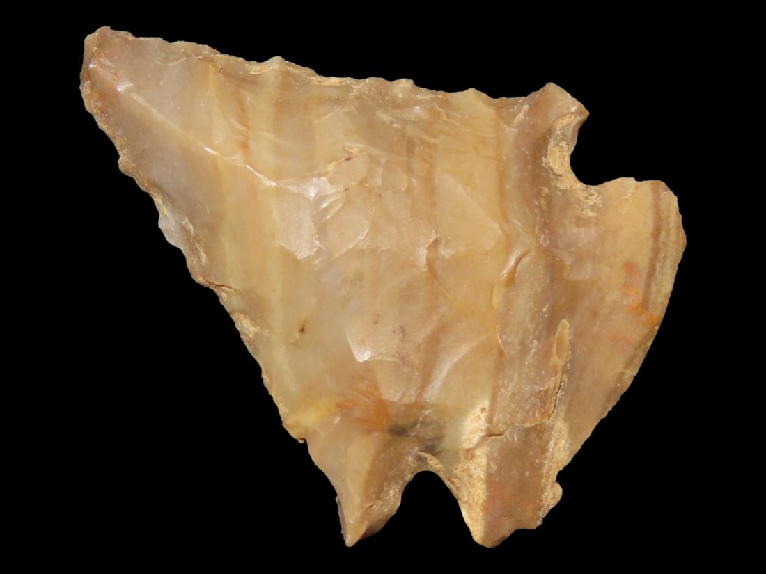 Colorful Striped Carter Cave Pinetree found in Meade Co. Kentucky. Indian Arrowhead, Artifact. (1 of 5)