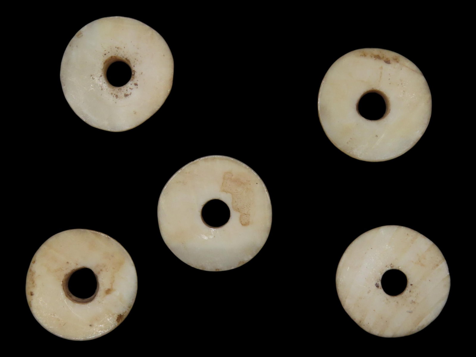 Nice Lot of Cahokia Shell Disc Beads found in Madison County Illinois. (1 of 4)