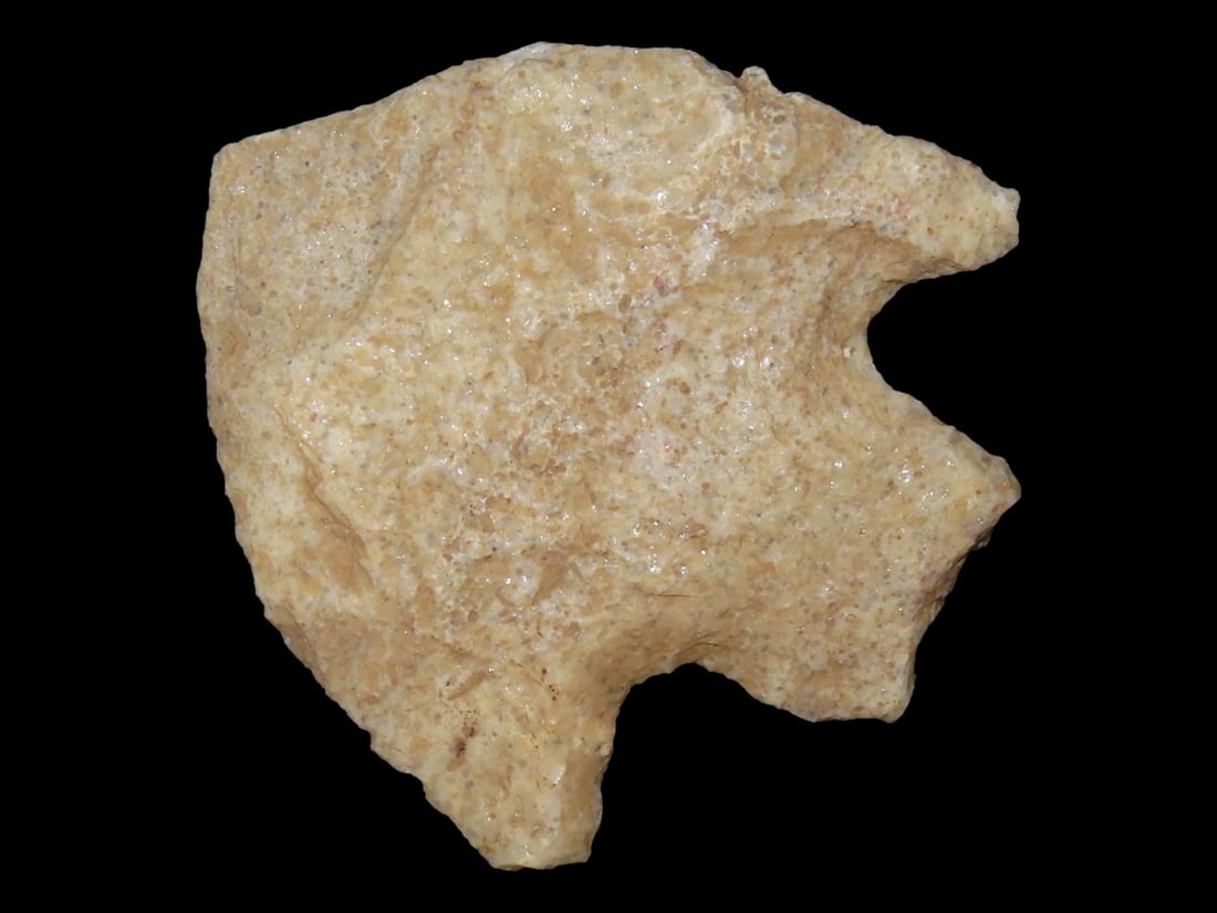Nice Wade found in Northern Florida. Indian Arrowhead, Artifact. (1 of 5)