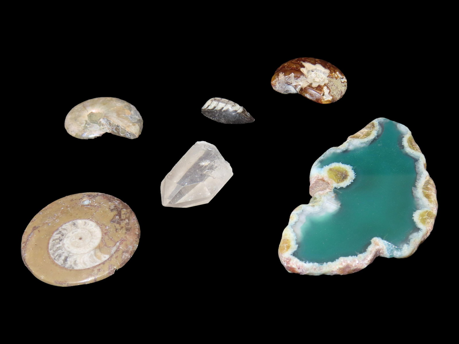 Nice Group Lot of Fossils & Minerals, Orthoceras, Agate Slice, Crystal Quartz, and several different: Nice Group Lot of Fossils & Minerals, Orthoceras, Agate Slice, Crystal Quartz, and several different Ammonites